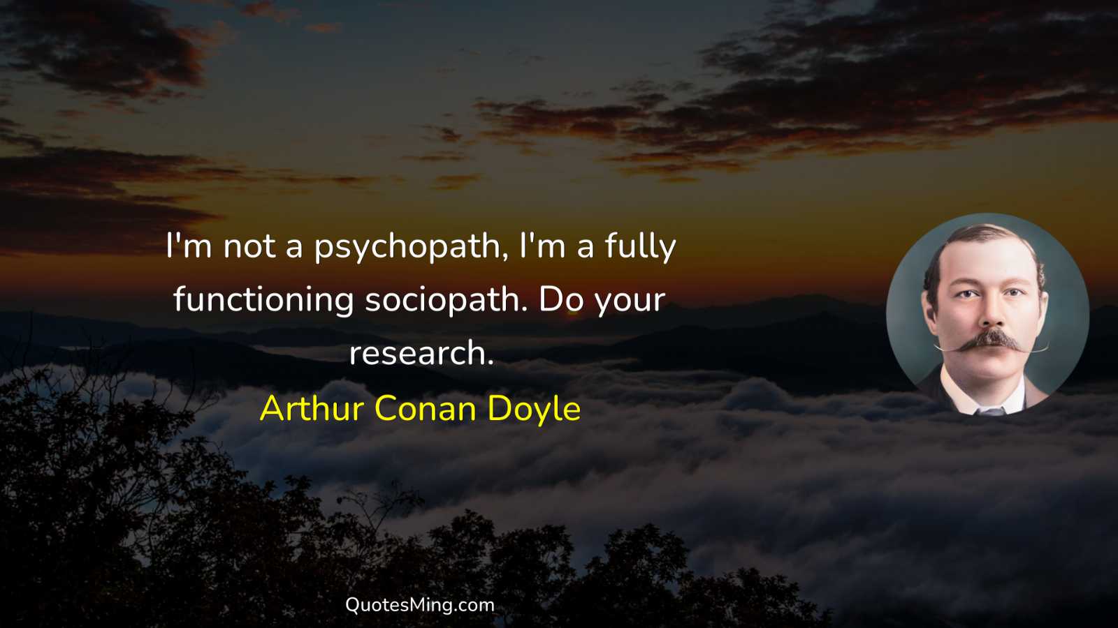 I'm not a psychopath I'm a fully functioning sociopath Do