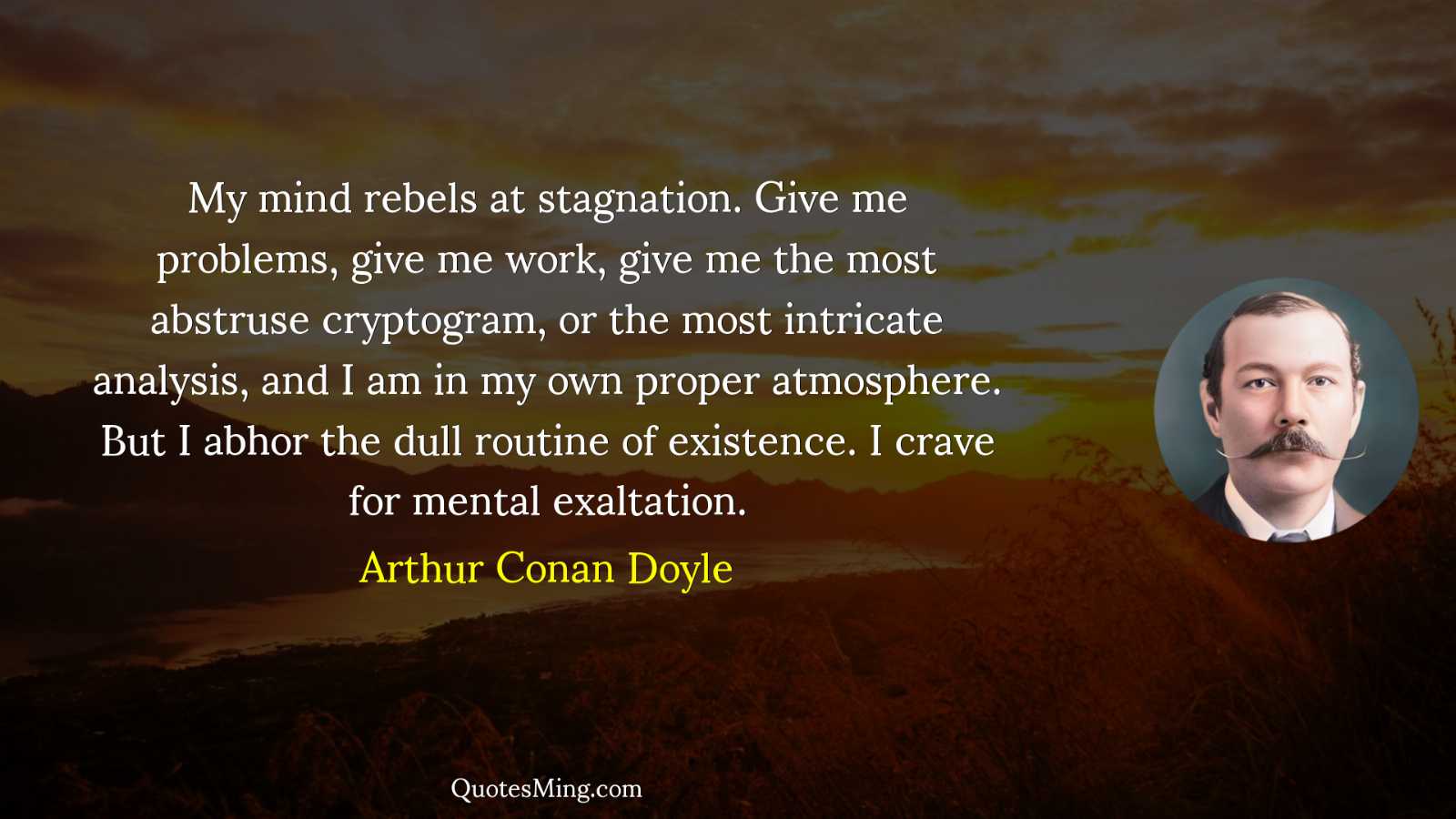 My mind rebels at stagnation Give me problems give me