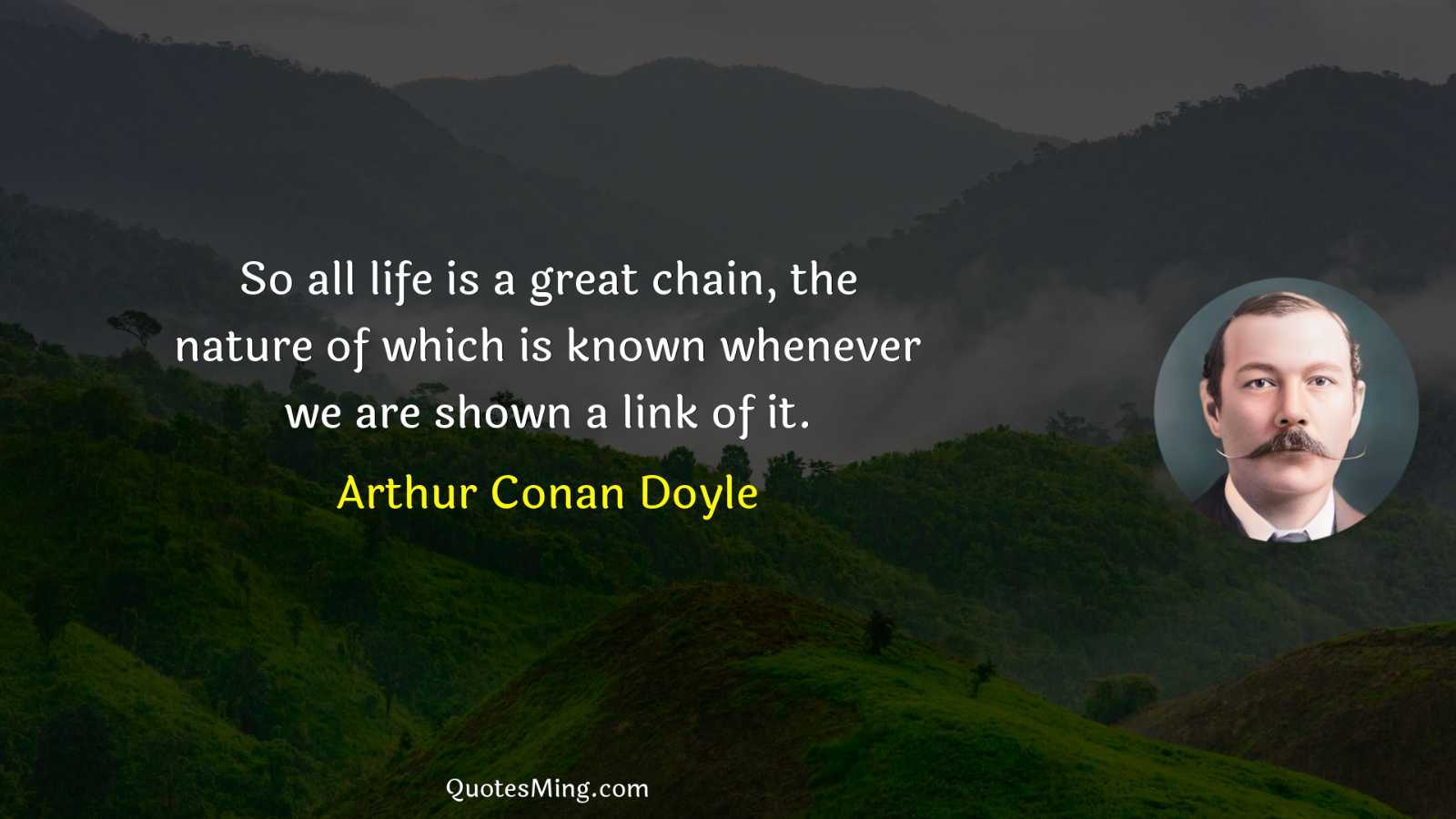 So all life is a great chain the nature of