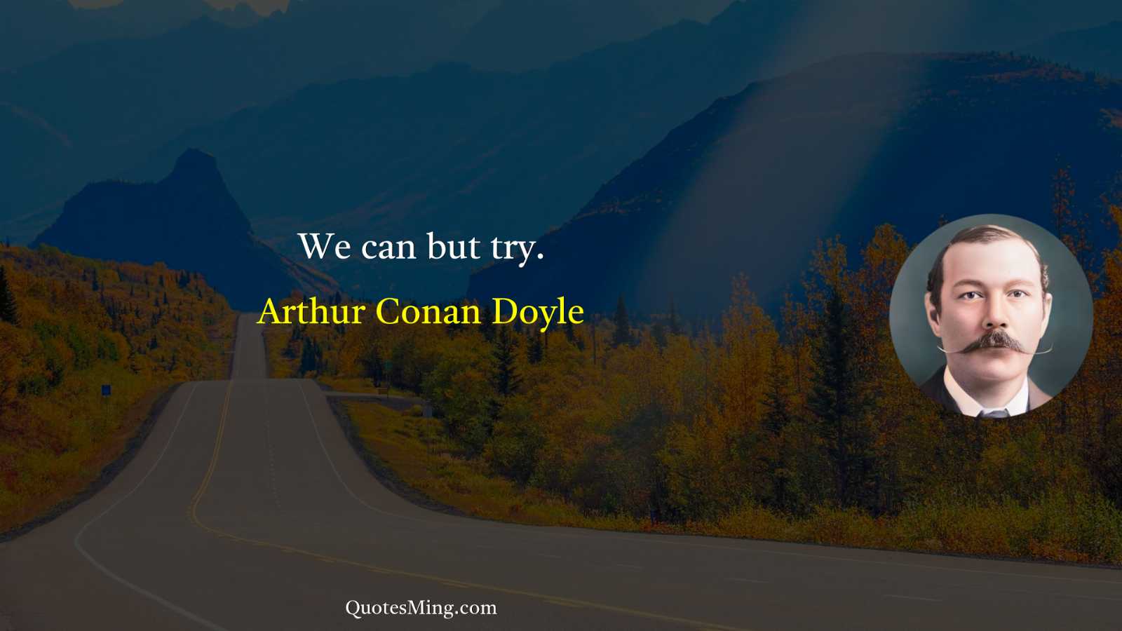 We can but try