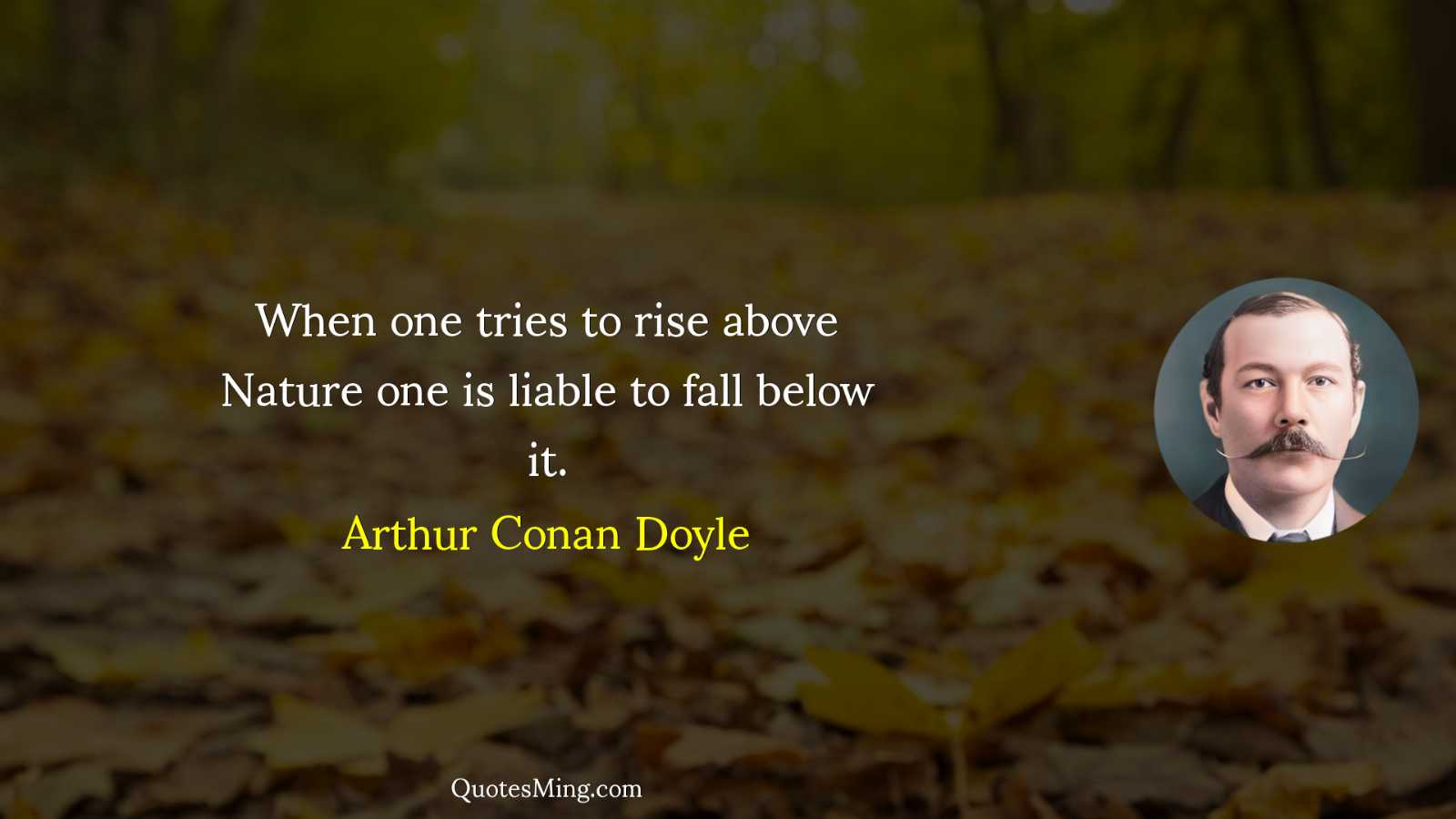 When one tries to rise above Nature one is liable