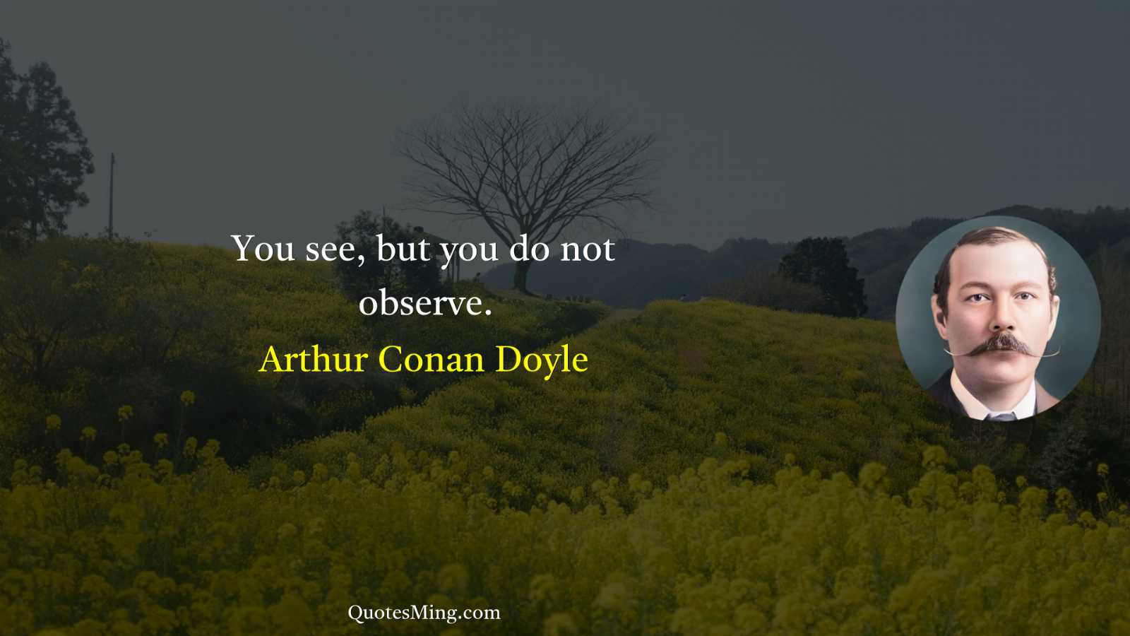 You see but you do not observe