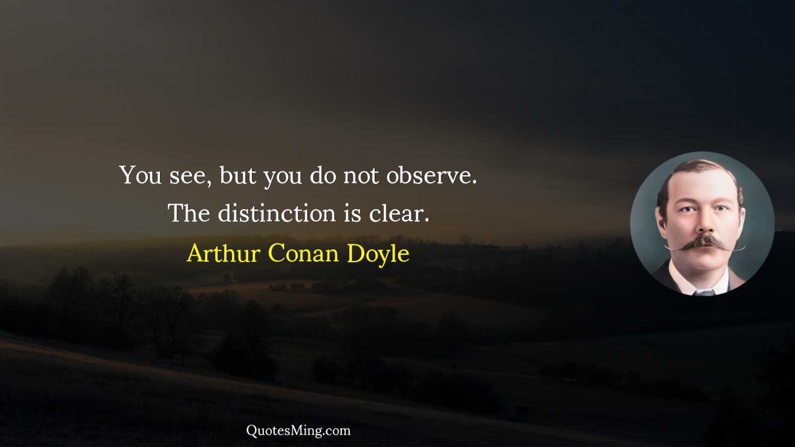 You see but you do not observe The distinction is