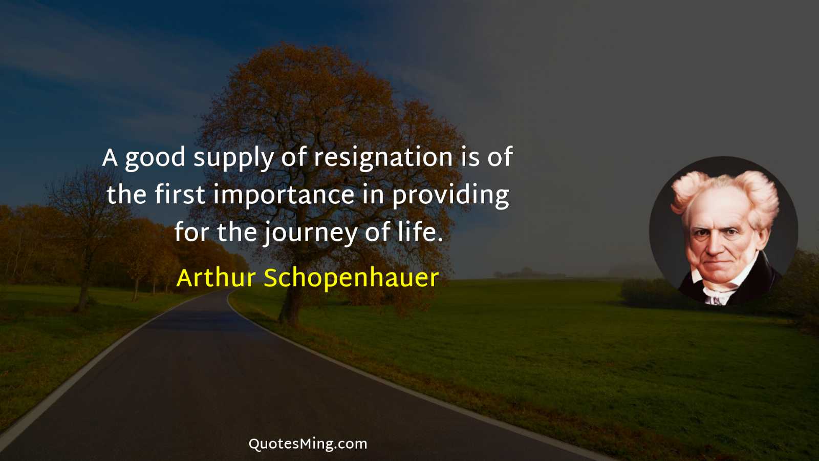 A good supply of resignation is of the first importance