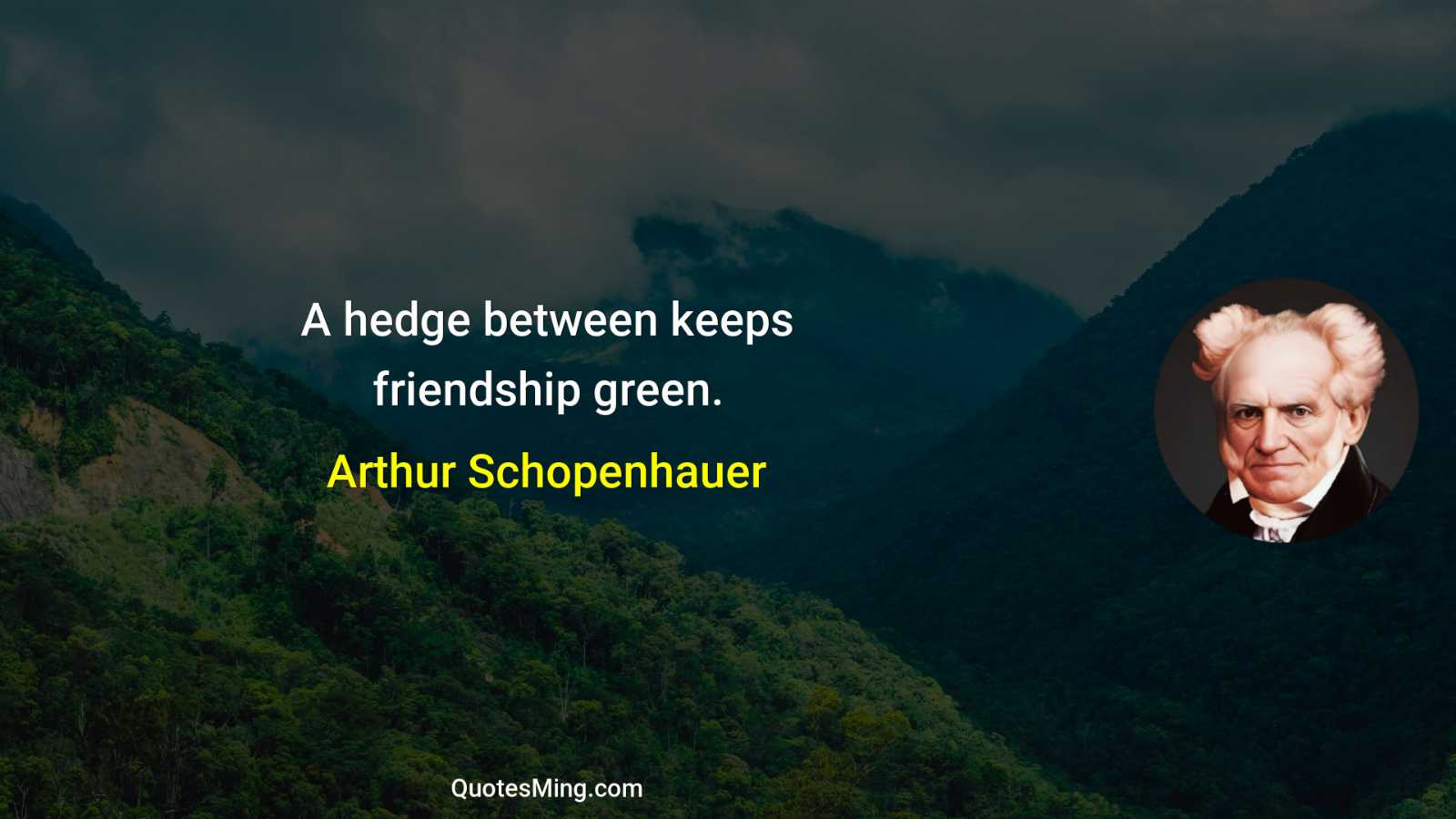 A hedge between keeps friendship green