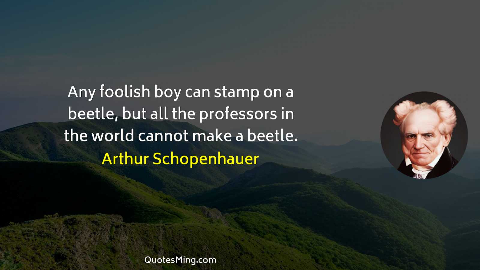 Any foolish boy can stamp on a beetle but all