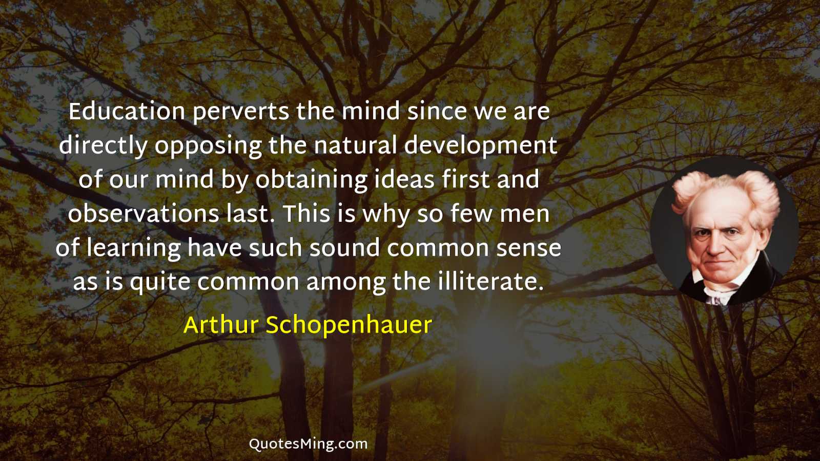 Education perverts the mind since we are directly opposing the