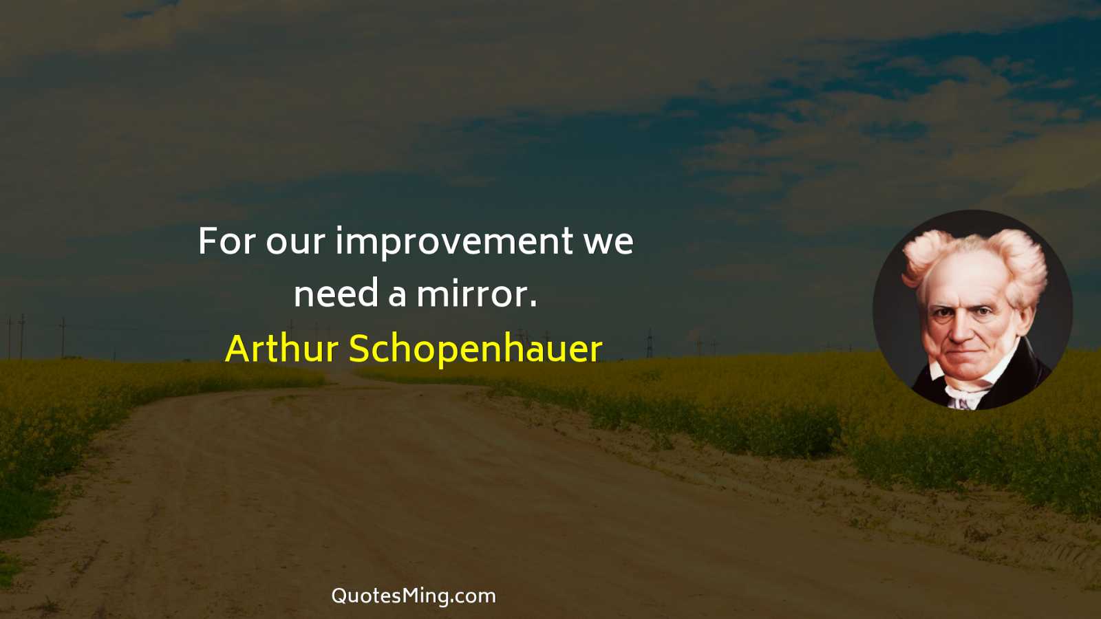 For our improvement we need a mirror