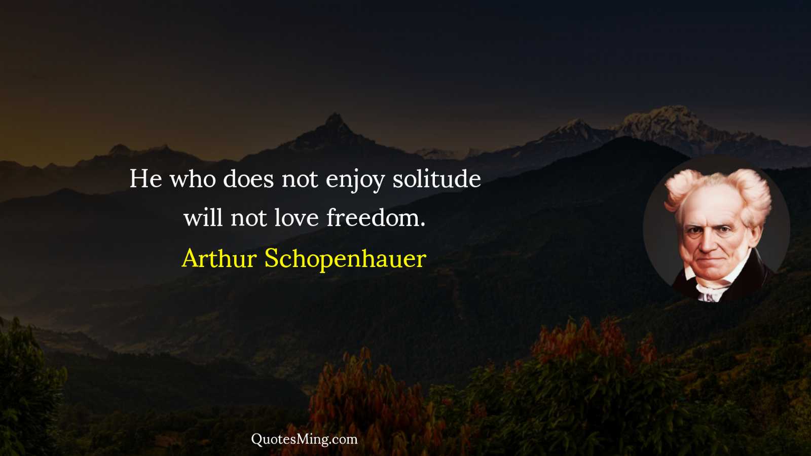 He who does not enjoy solitude will not love freedom