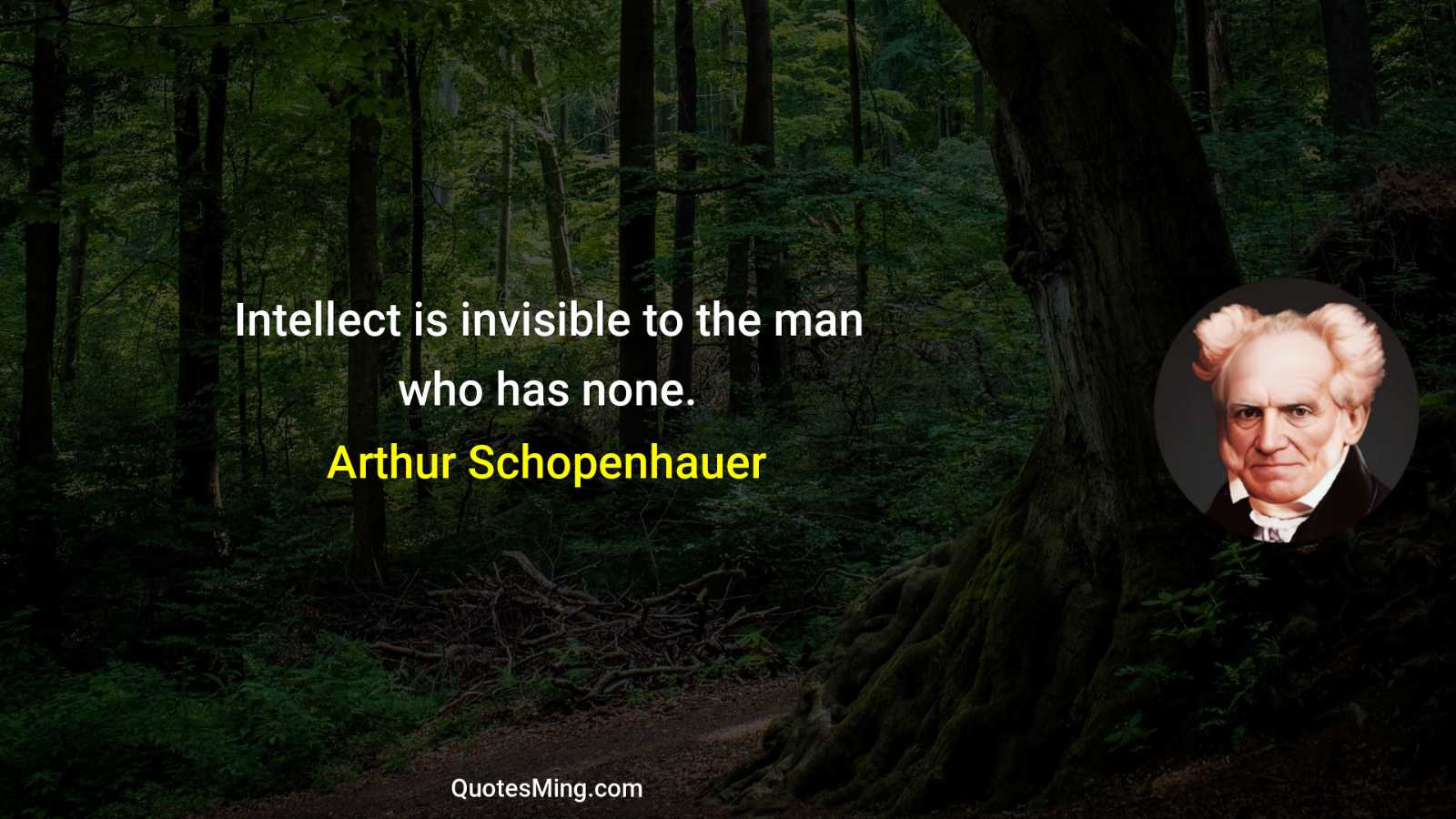 Intellect is invisible to the man who has none