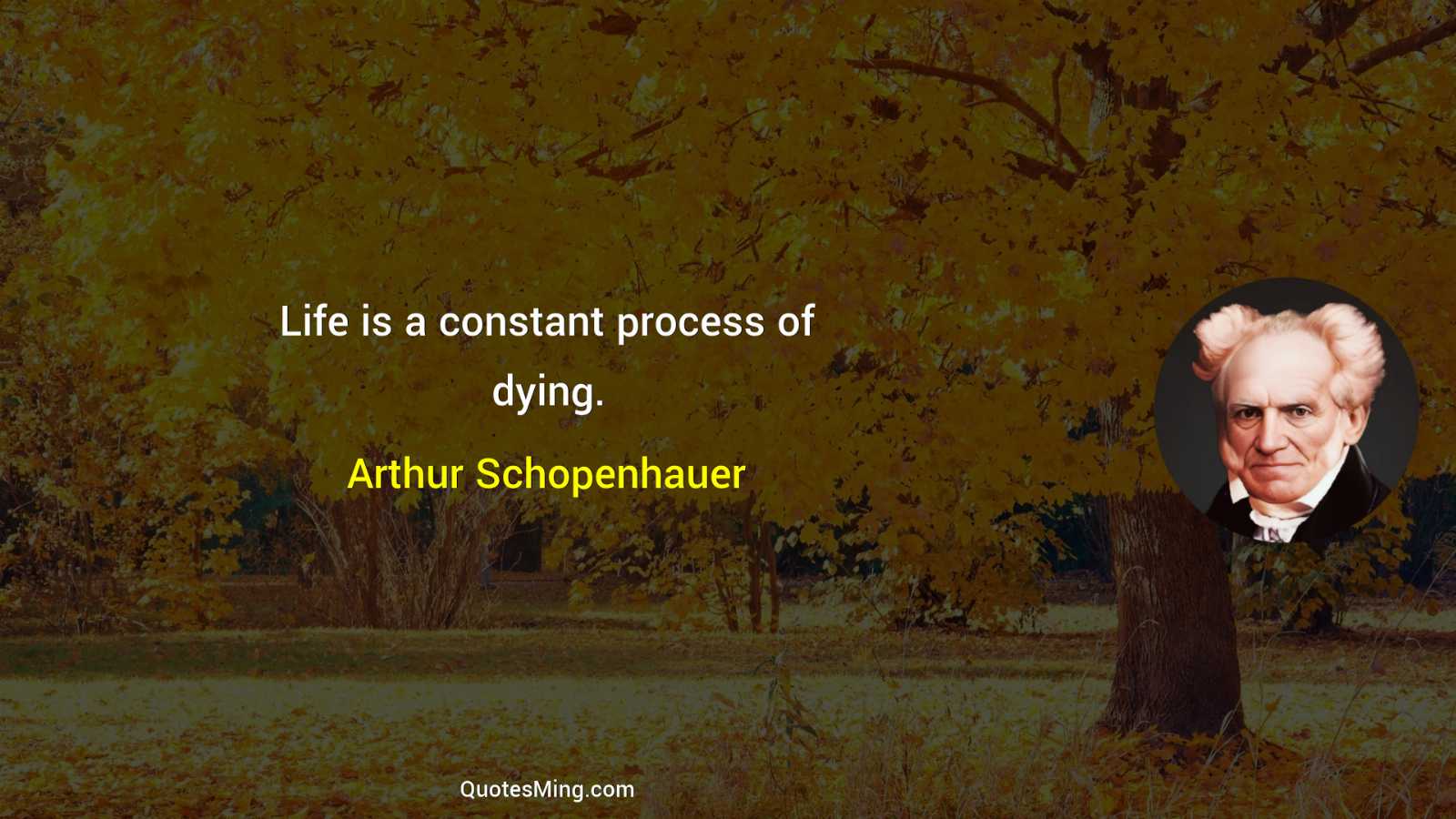 Life is a constant process of dying