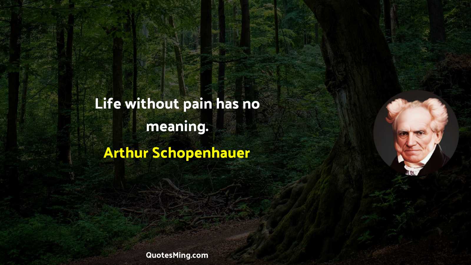 Life without pain has no meaning