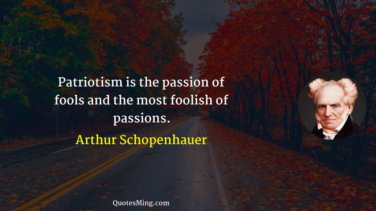 Patriotism is the passion of fools and the most foolish