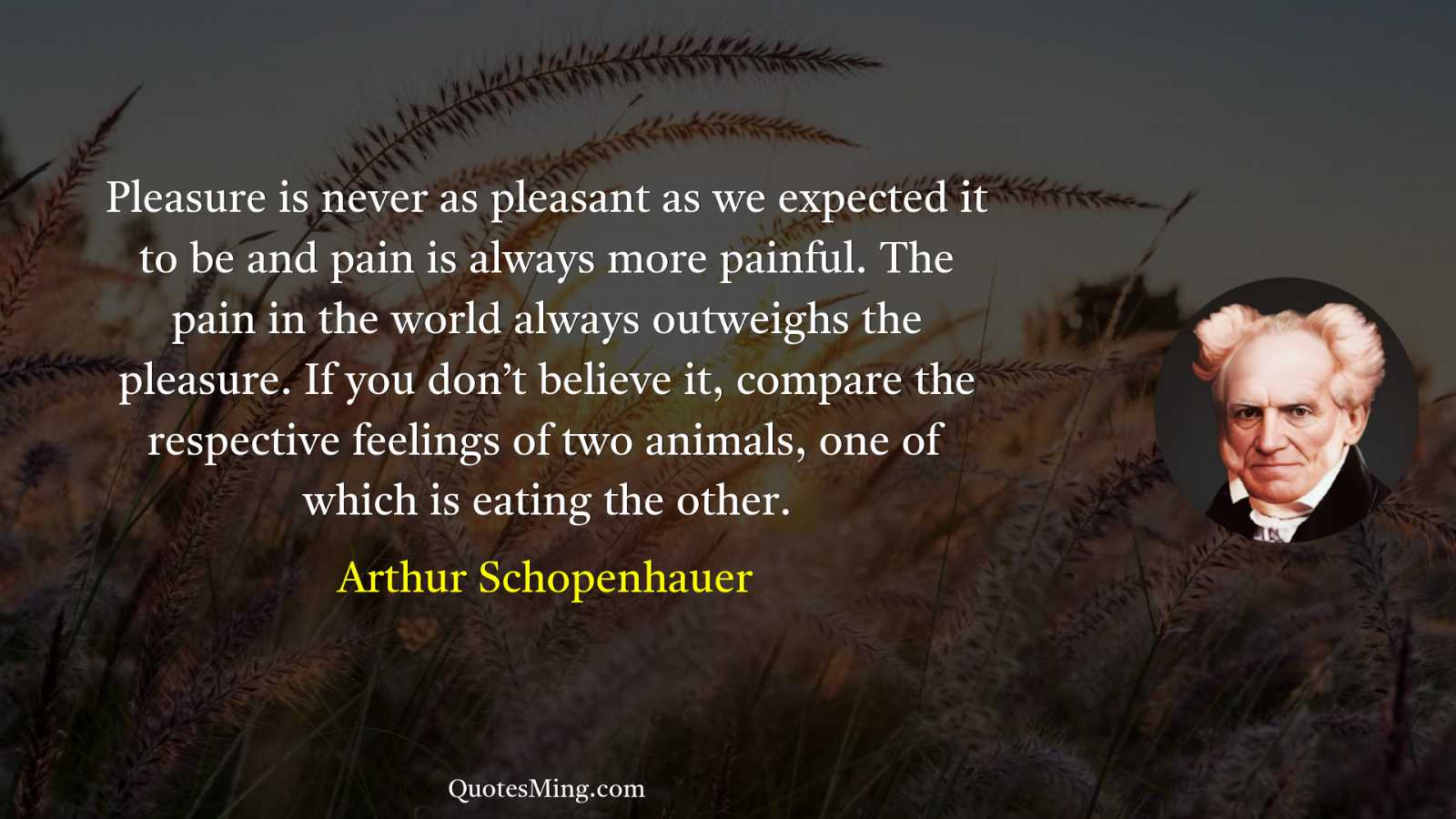 Pleasure is never as pleasant as we expected it to