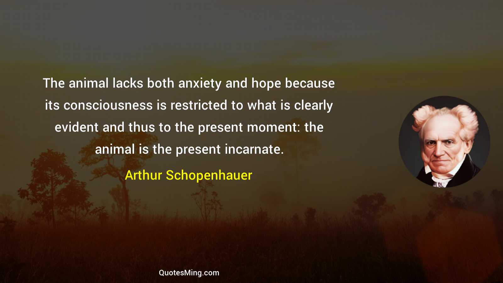 The animal lacks both anxiety and hope because its consciousness