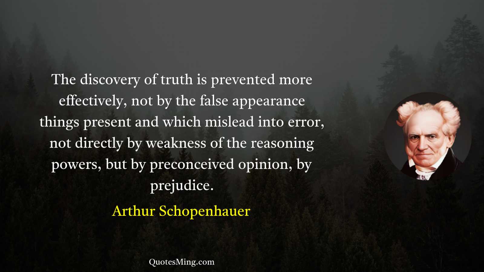 The discovery of truth is prevented more effectively not by