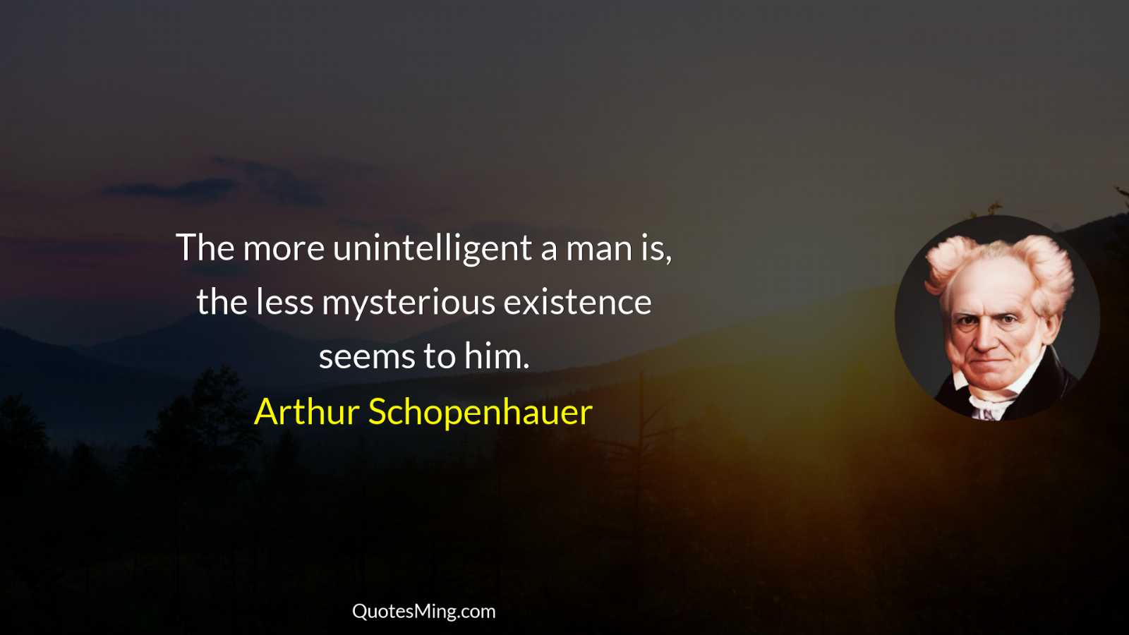 The more unintelligent a man is the less mysterious existence