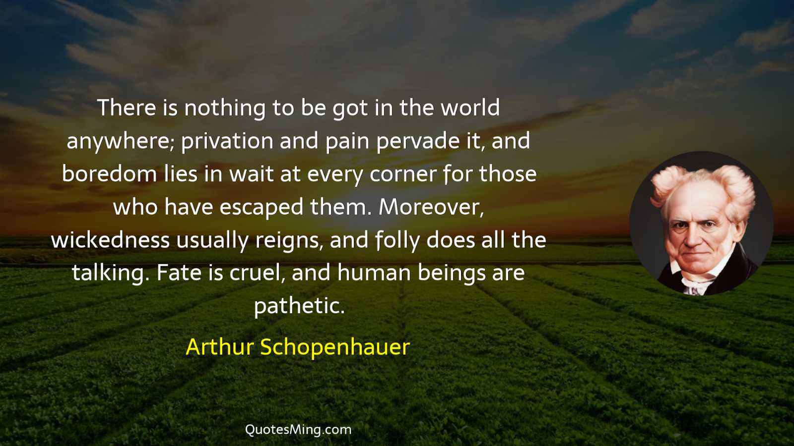 There is nothing to be got in the world anywhere;