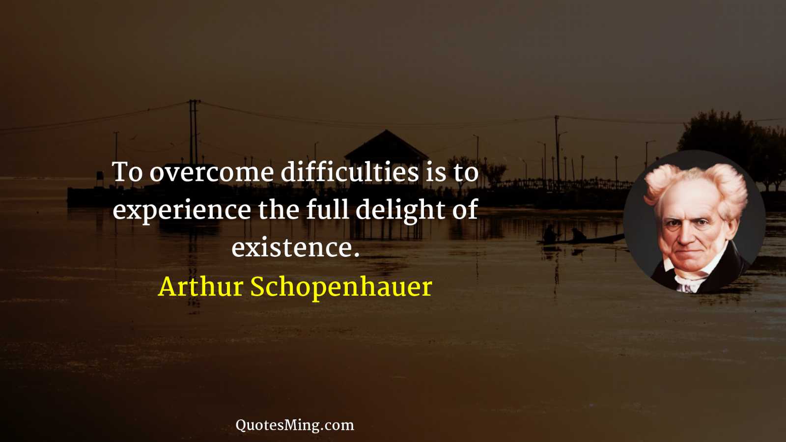 To overcome difficulties is to experience the full delight of