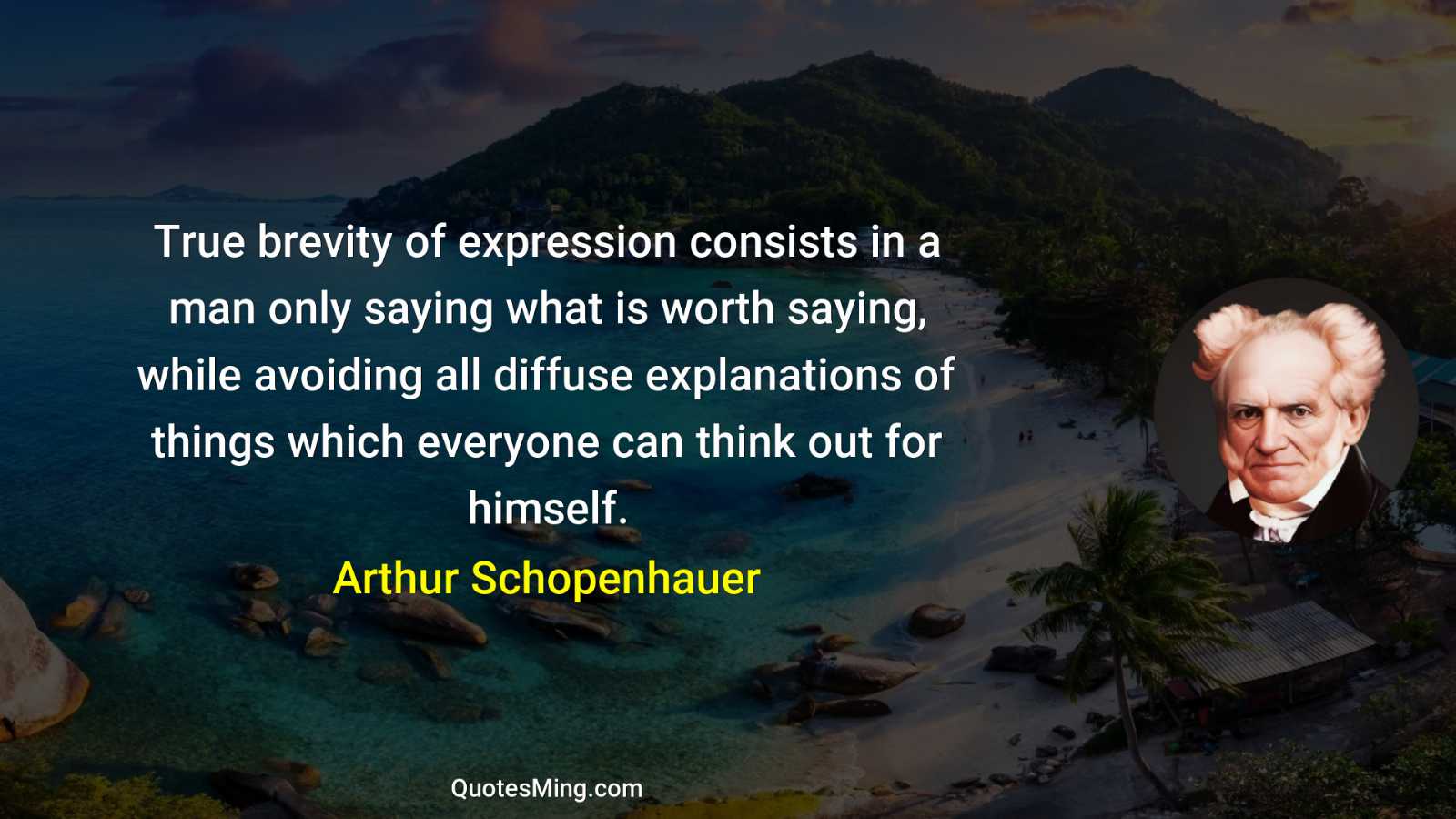 True brevity of expression consists in a man only saying