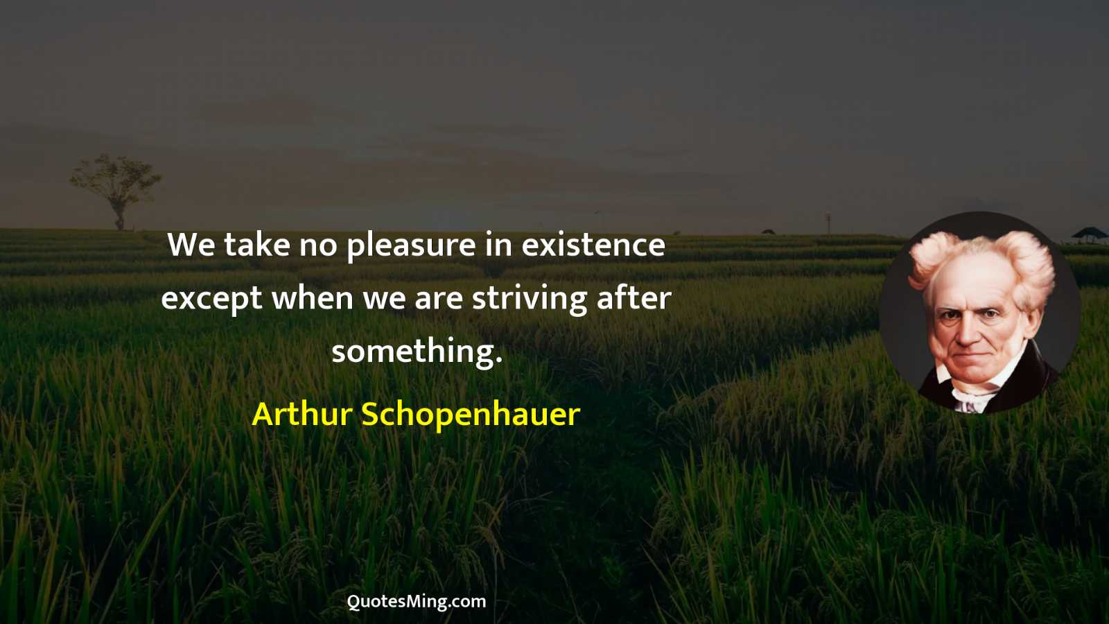 We take no pleasure in existence except when we are