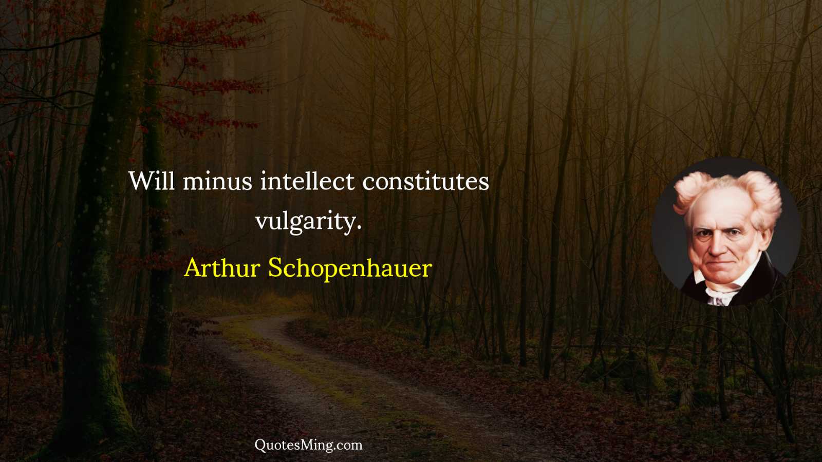 Will minus intellect constitutes vulgarity