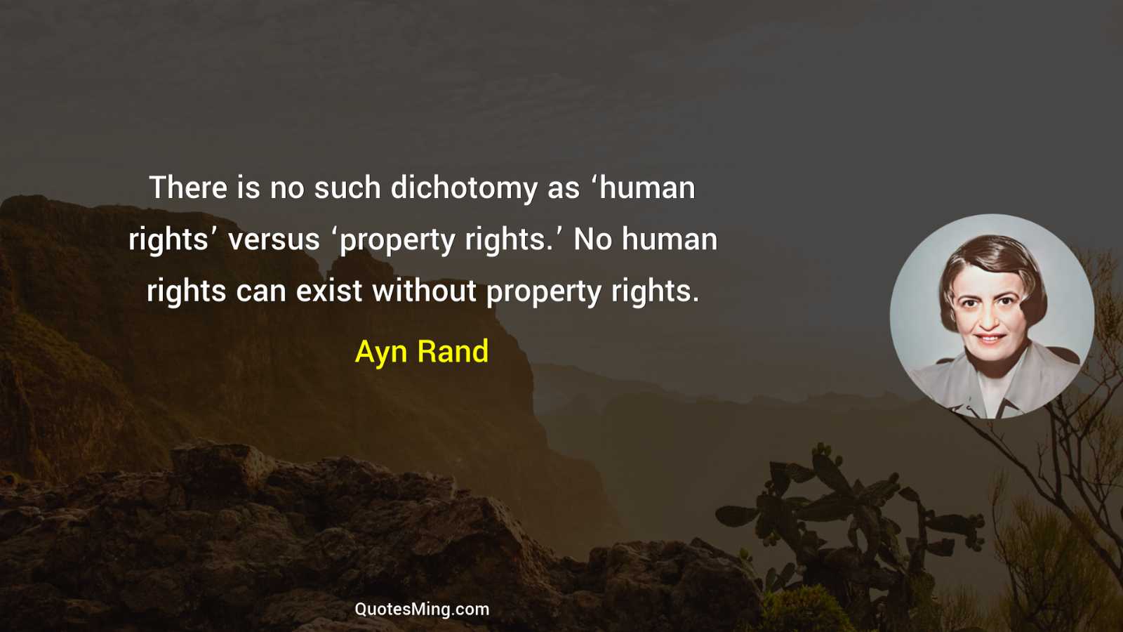 There is no such dichotomy as ‘human rights’ versus ‘property