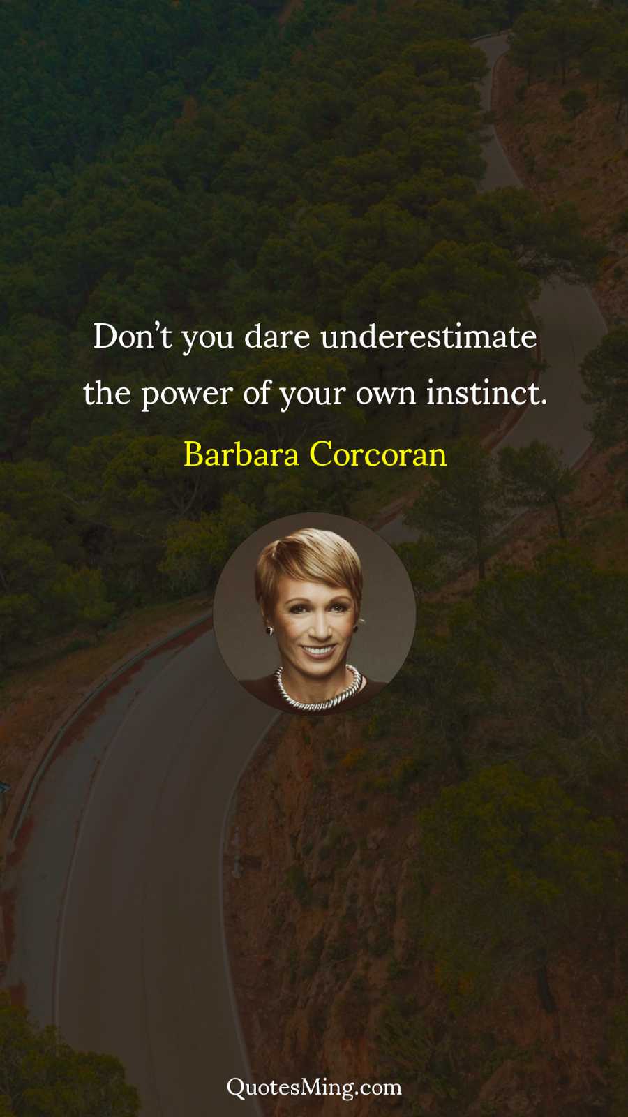 Don’t you dare underestimate the power of your own instinct