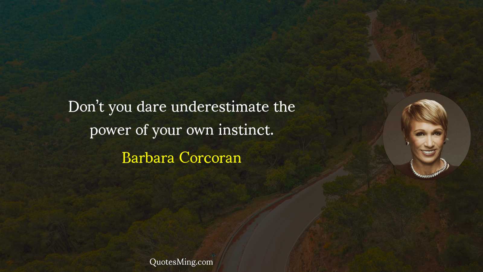 Don’t you dare underestimate the power of your own instinct