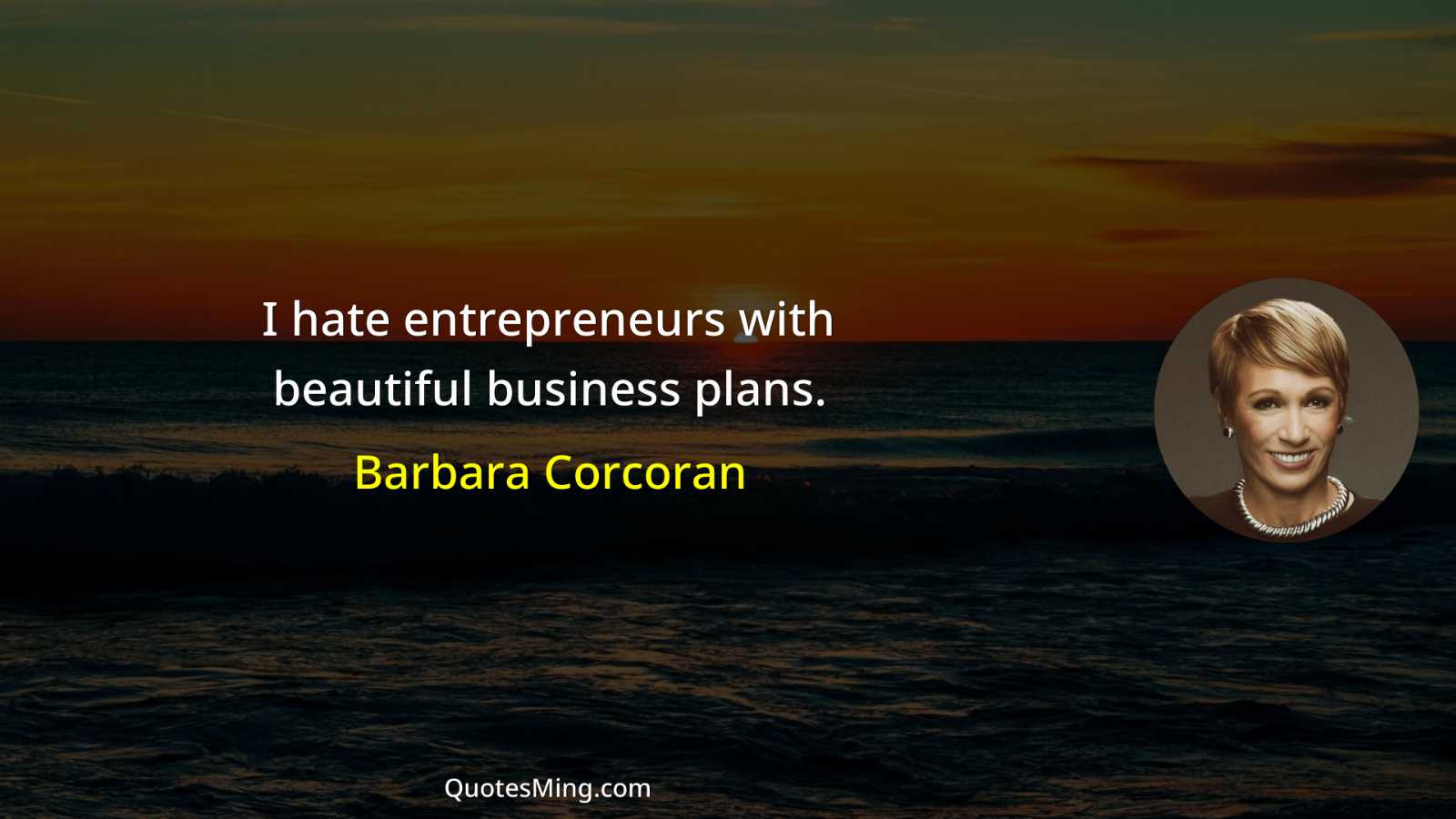 I hate entrepreneurs with beautiful business plans