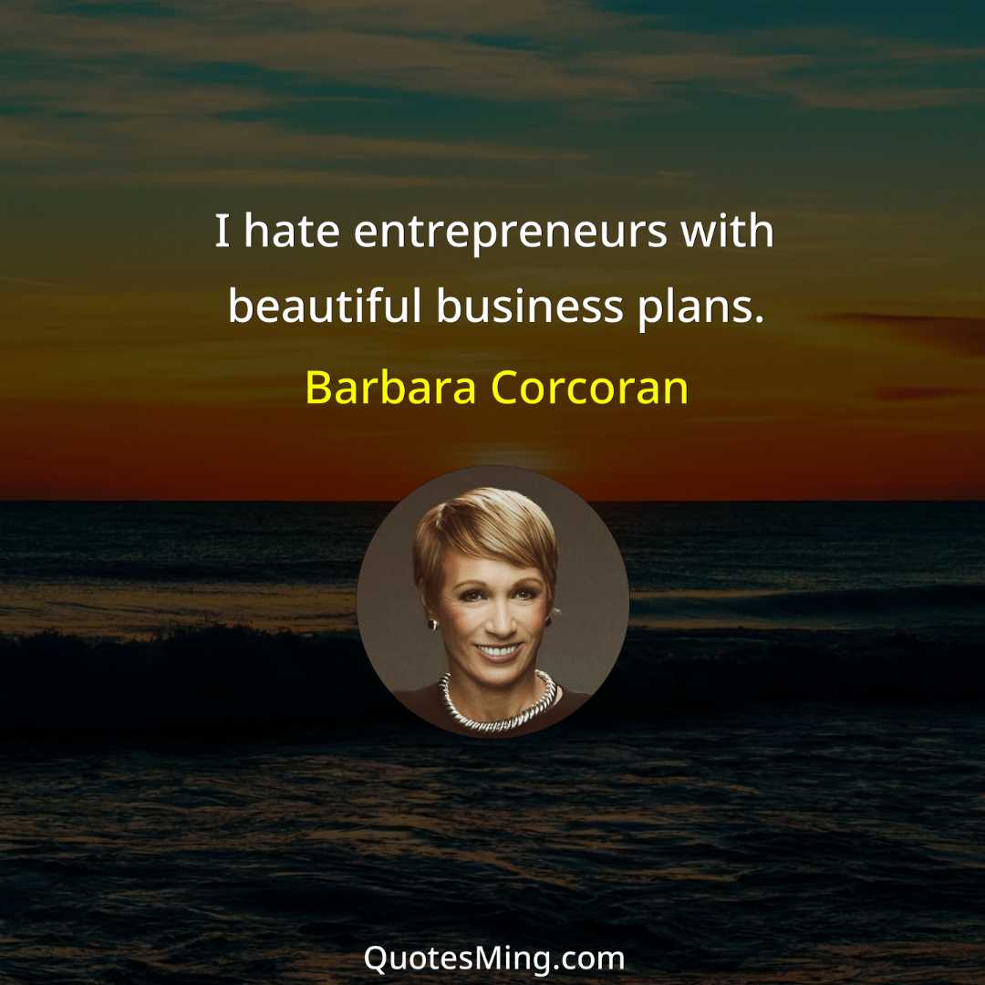 I hate entrepreneurs with beautiful business plans