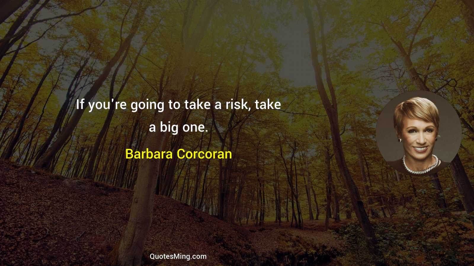 If you're going to take a risk take a big