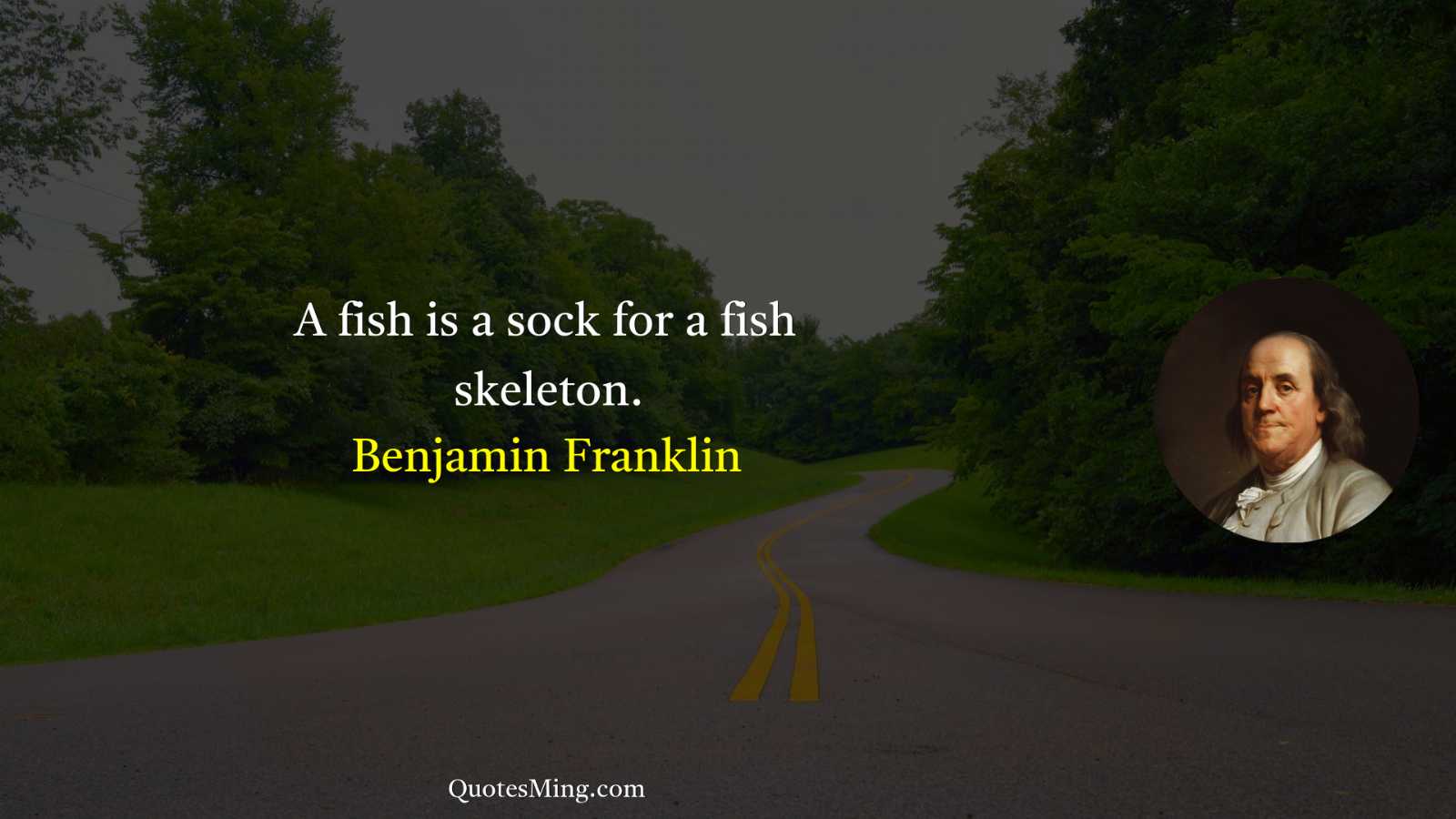 A fish is a sock for a fish skeleton