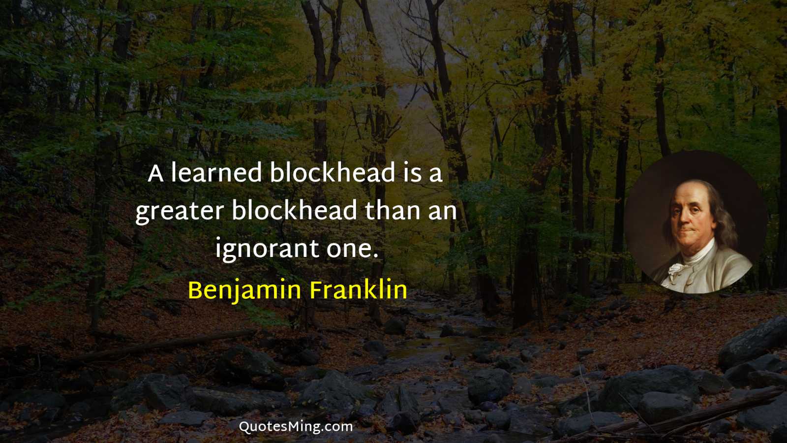 A learned blockhead is a greater blockhead than an ignorant