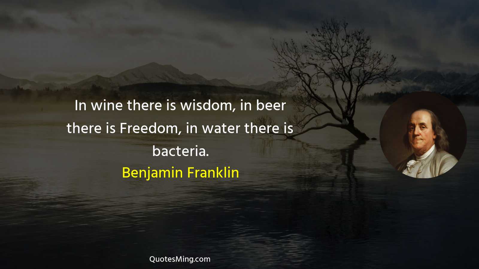 In wine there is wisdom in beer there is Freedom