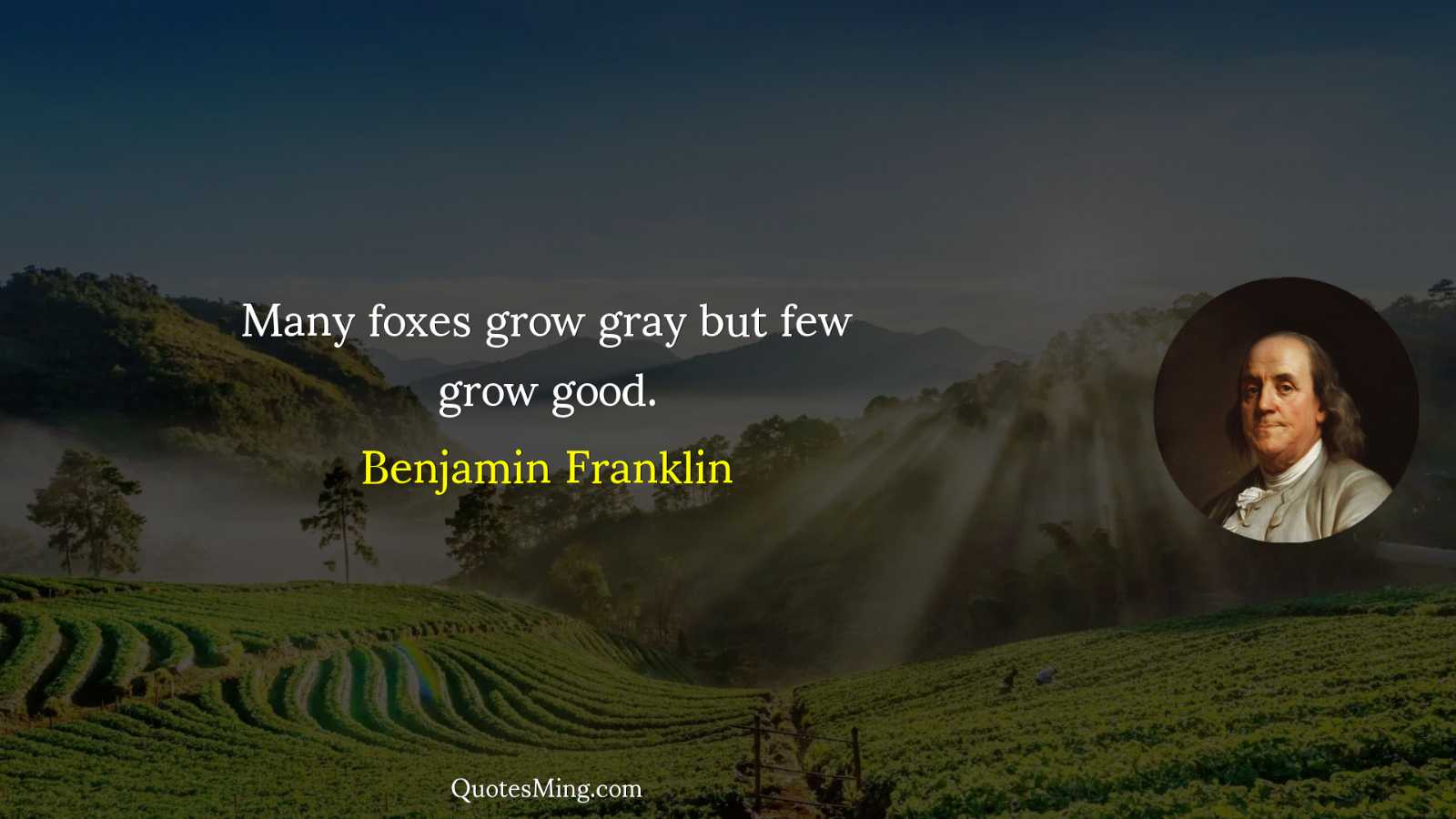 Many foxes grow gray but few grow good