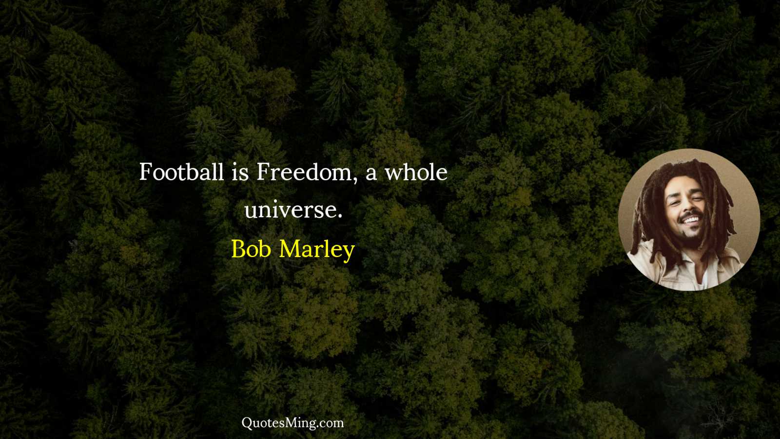 Football is Freedom a whole universe