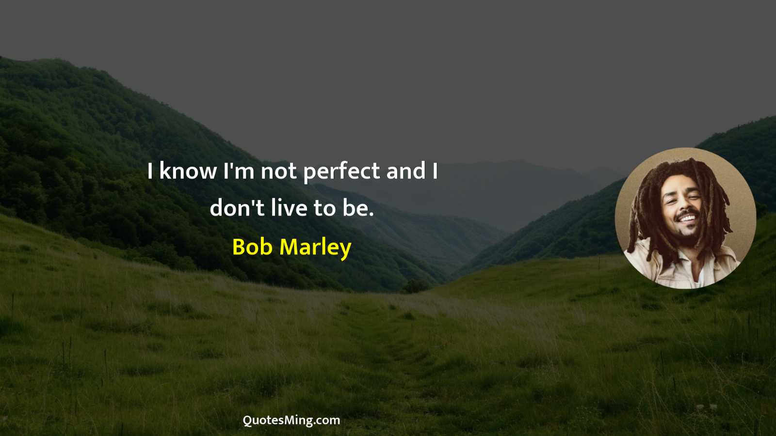 I know I'm not perfect and I don't live to