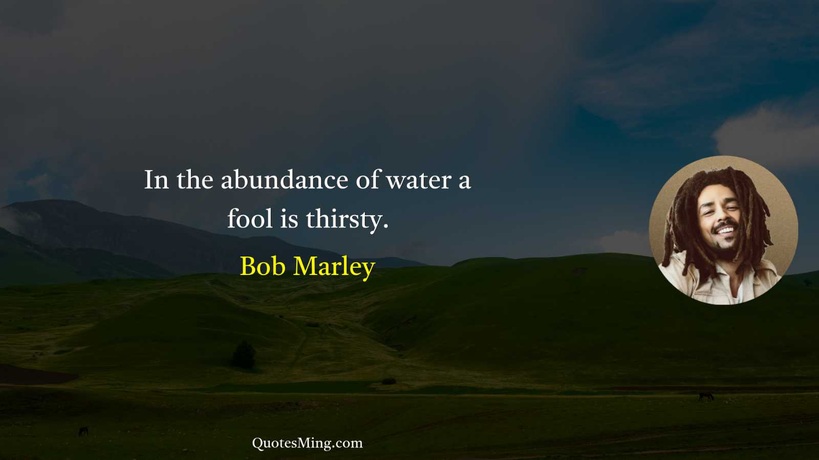 In the abundance of water a fool is thirsty