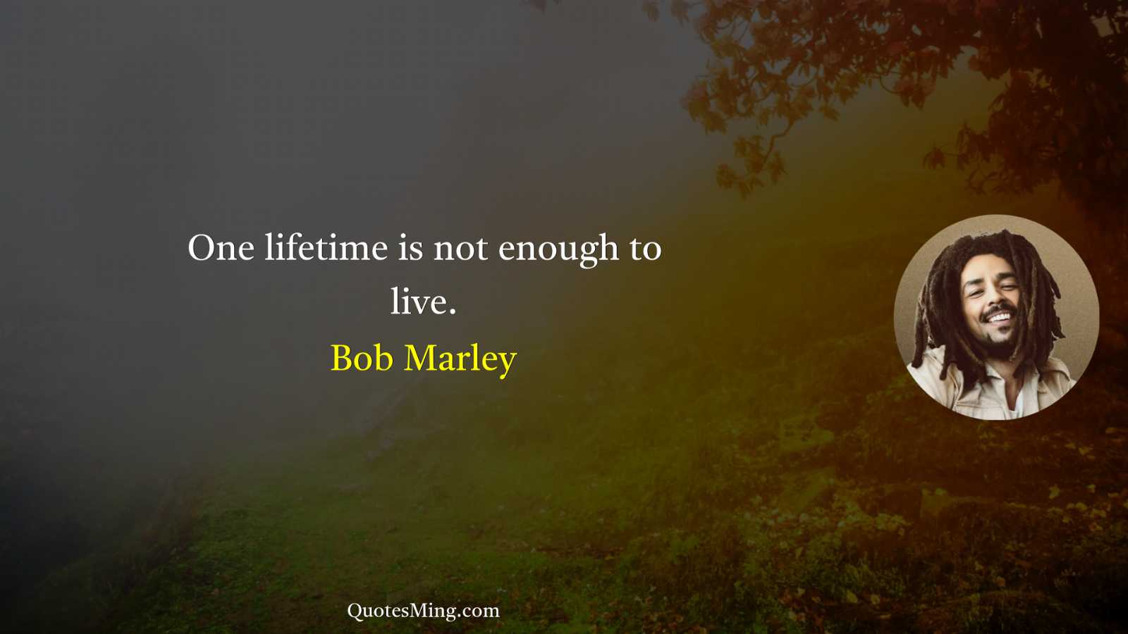 One lifetime is not enough to live