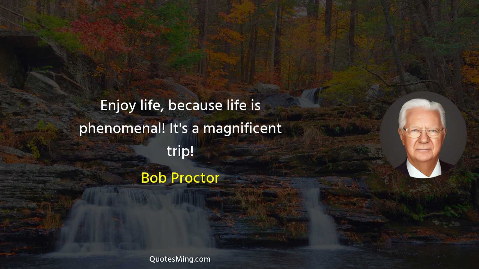 Enjoy life because life is phenomenal It's a magnificent trip