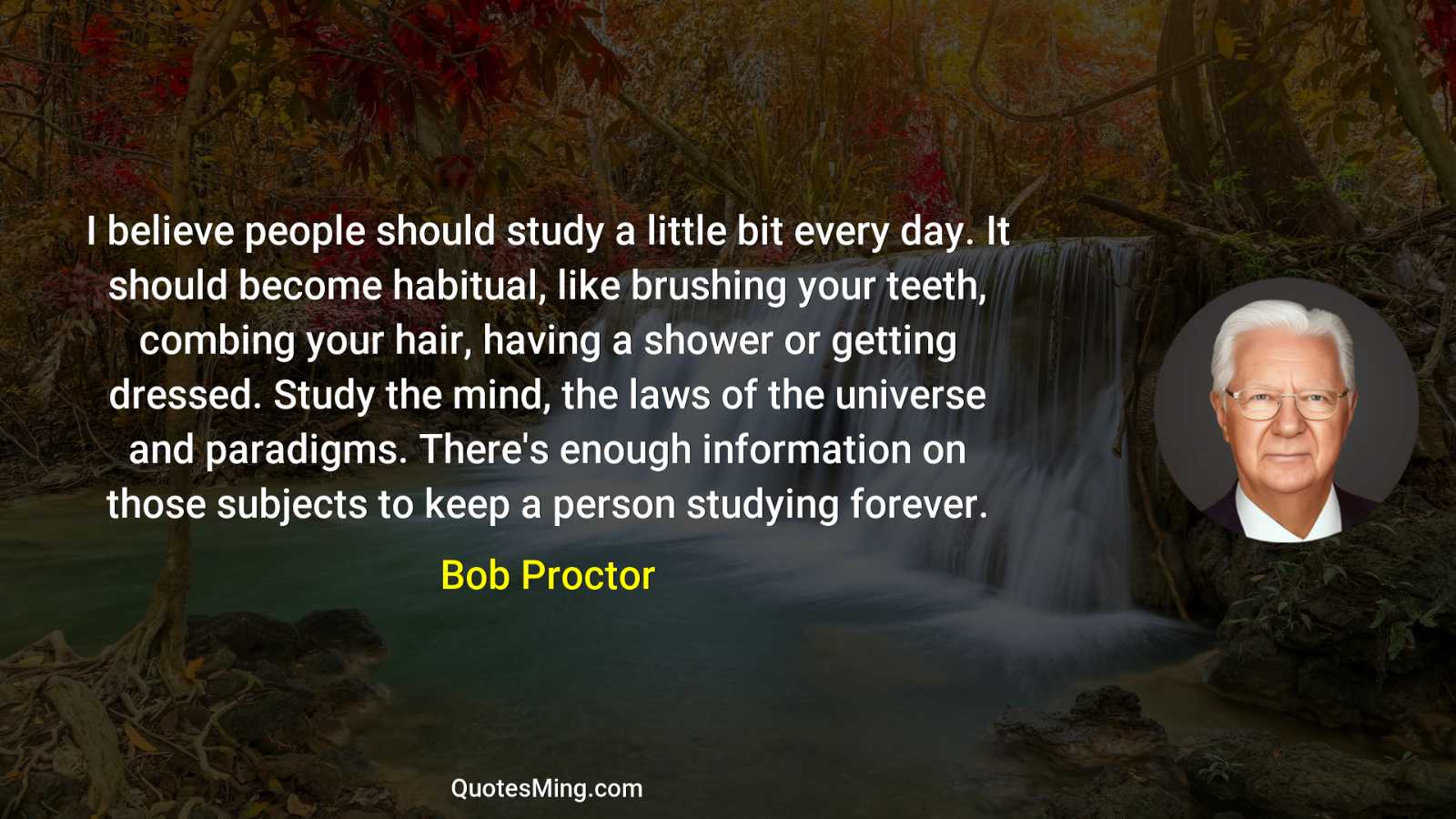 I believe people should study a little bit every day