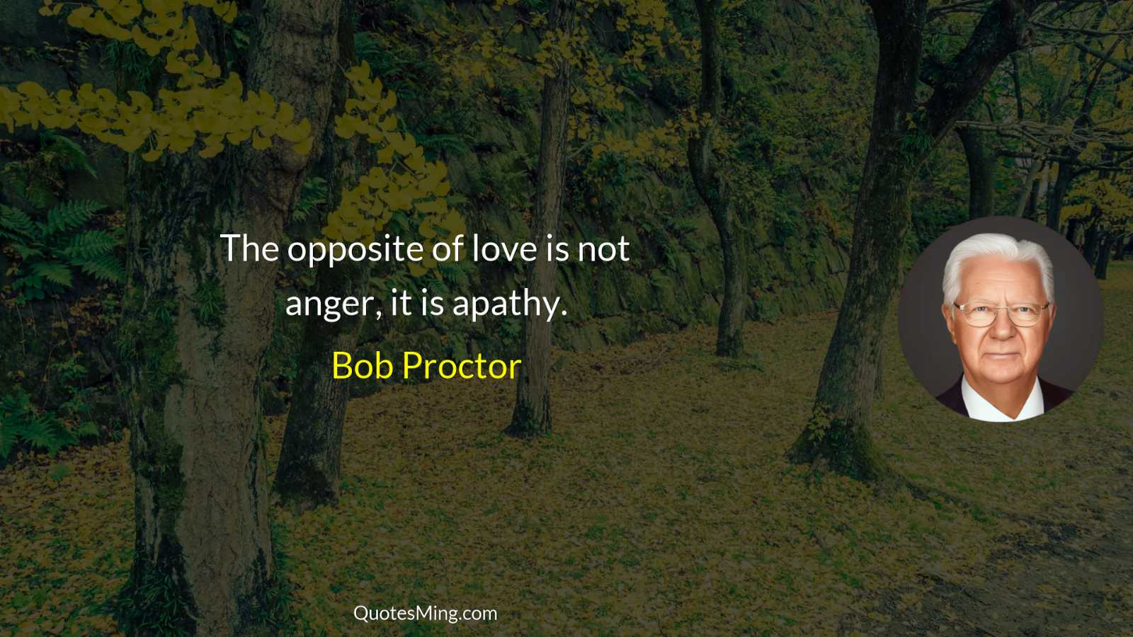 The opposite of love is not anger it is apathy