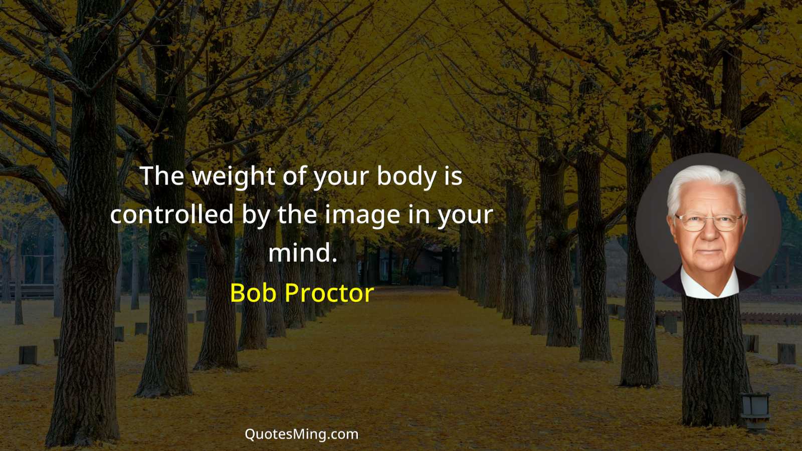 The weight of your body is controlled by the image