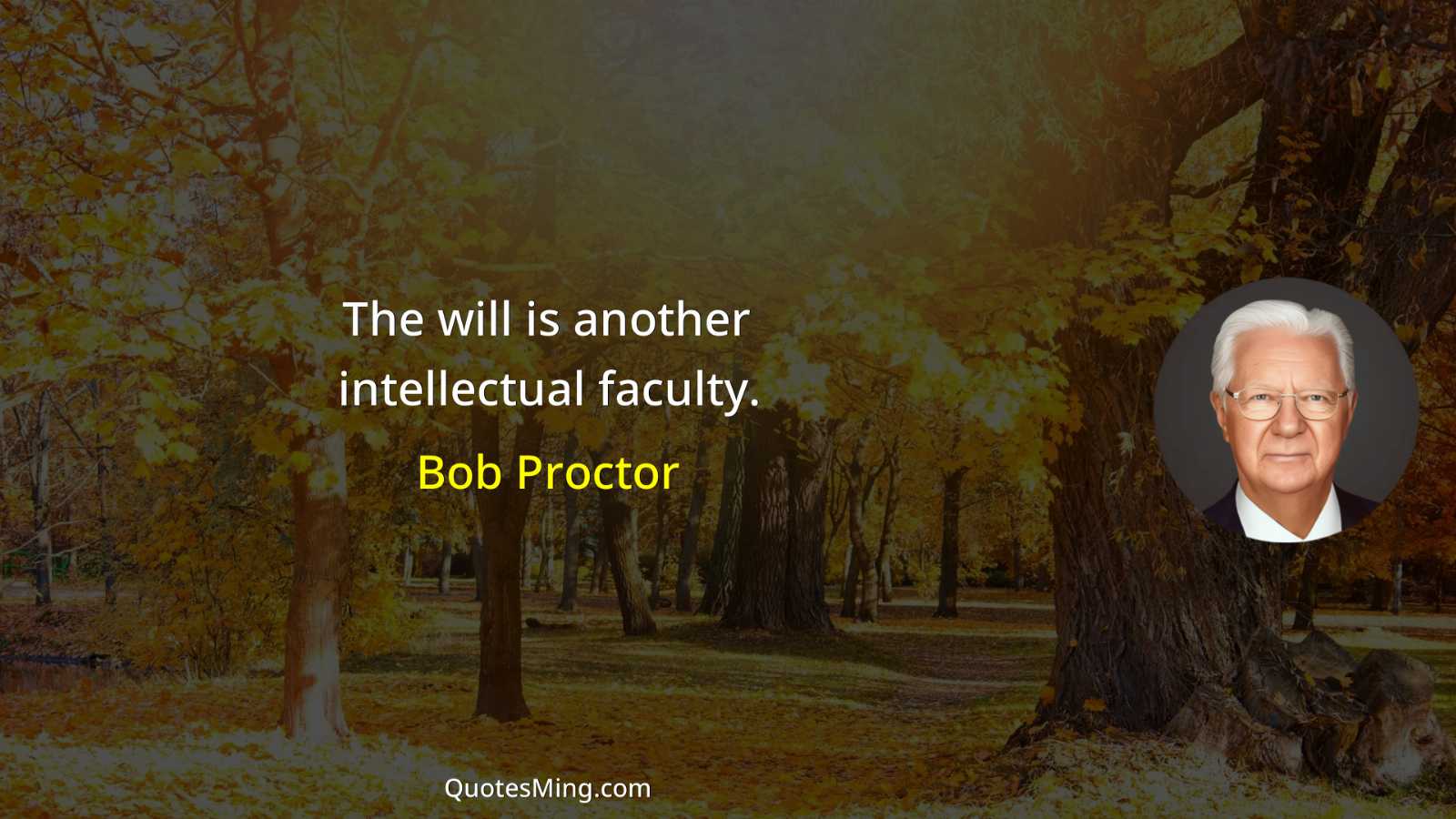 The will is another intellectual faculty