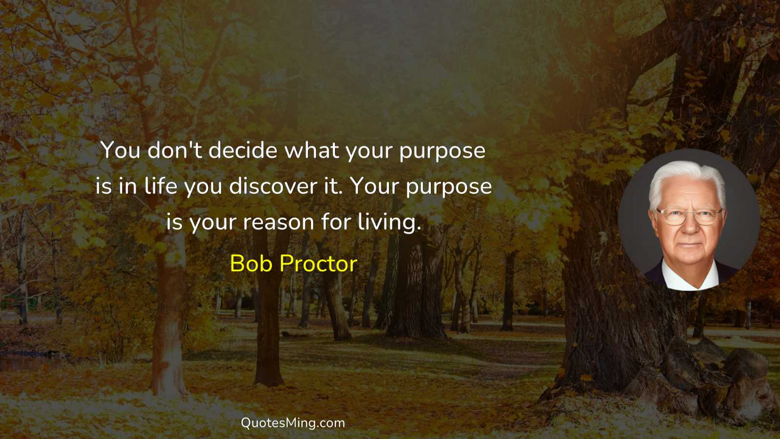 You don't decide what your purpose is in life you