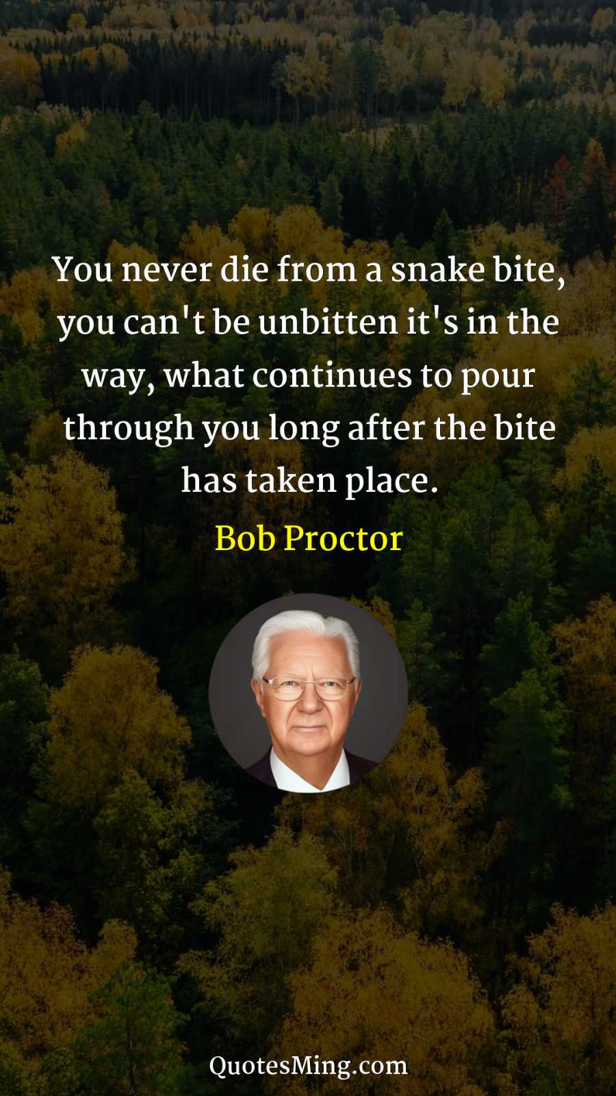 You never die from a snake bite you can't be