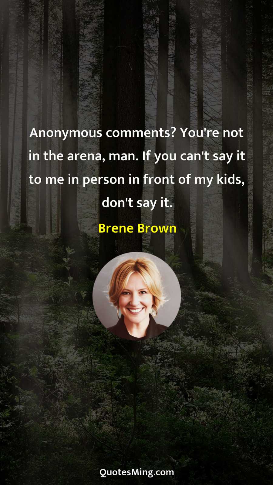 Anonymous comments? You're not in the arena man If you