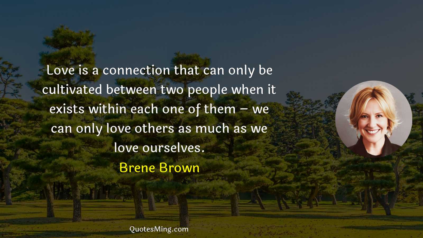 Love is a connection that can only be cultivated between