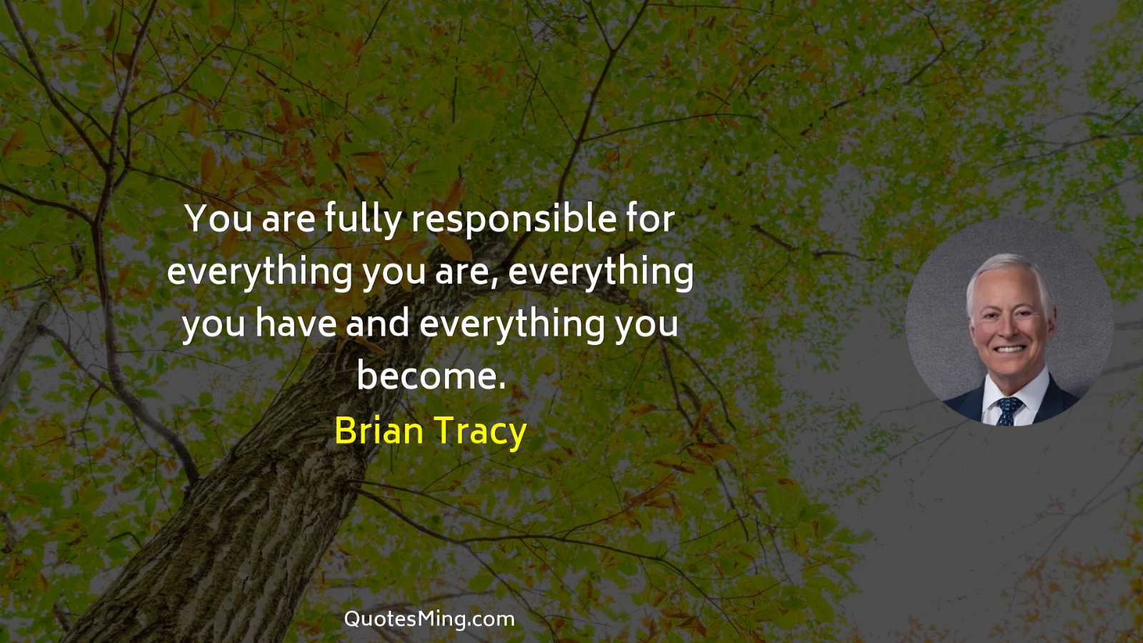 You are fully responsible for everything you are everything you